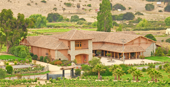 Viña Casa Marín