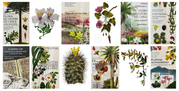 Libros botánicos de Adriana Hoffmann