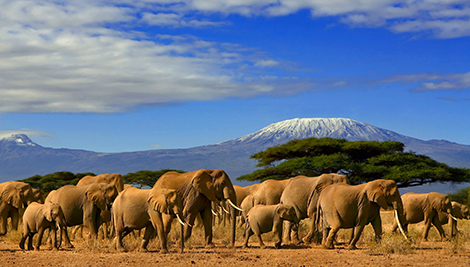 Crucero por África