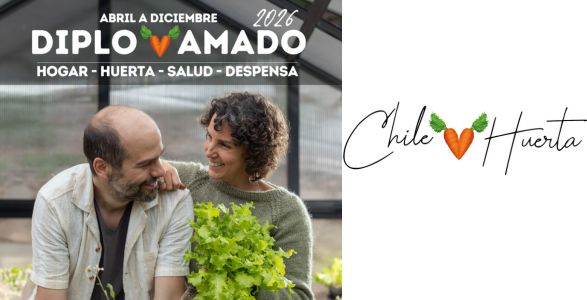 DiploAmado Chile Huerta