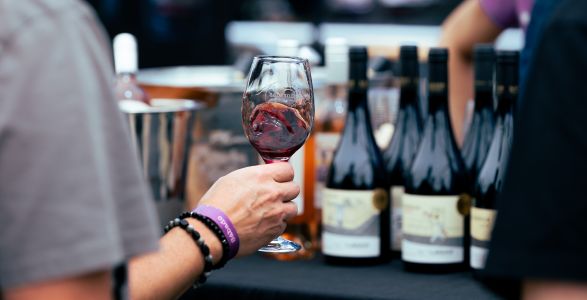 Feria Bocas Moradas celebra 10 años