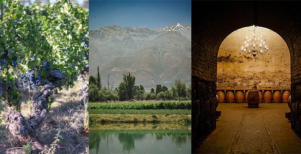 Viña Cousiño Macul