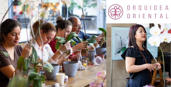 Workshop Orquídeas